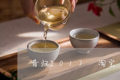 昔归2017 淘宝/2023041452814